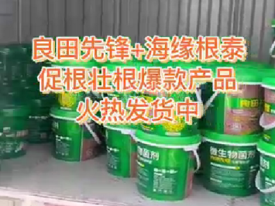 良田先鋒+海緣根泰促根壯根爆款產品火熱發貨中... ()