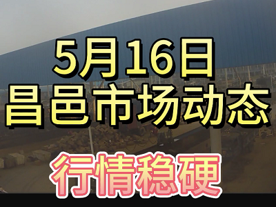 5月16日 昌邑生姜交易實況（行情穩硬） (3930播放)