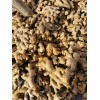 5噸云南小黃姜，價(jià)格實(shí)惠