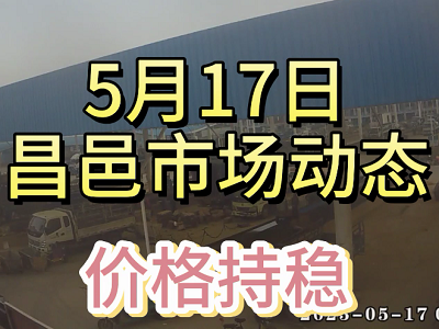 5月17日 昌邑生姜交易實況（價格持穩） (3962播放)