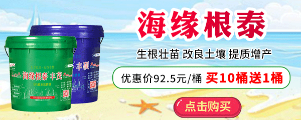 海緣根泰