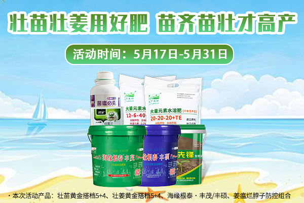 壯苗壯姜用好肥，苗齊苗壯才高產 ()
