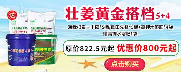 壯姜黃金搭檔