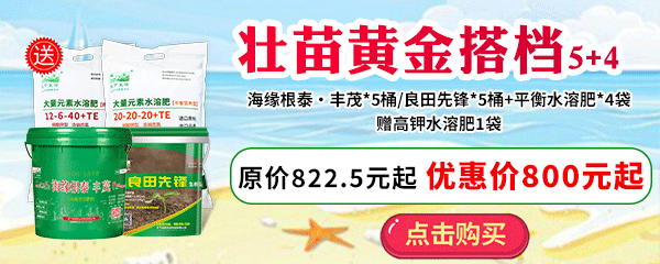 壯苗黃金搭檔
