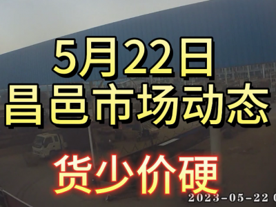 5月22日 昌邑生姜交易實況（貨少價硬） (3988播放)