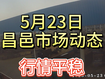 5月23日 昌邑生姜交易實況（行情平穩） (4029播放)
