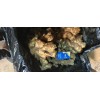 大量供應各種規格大姜小黃姜