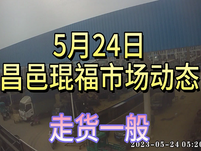 5月24日 昌邑生姜交易實況（走貨一般） (4026播放)