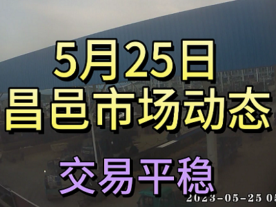 5月25日 昌邑生姜交易實況（交易平穩） (4045播放)