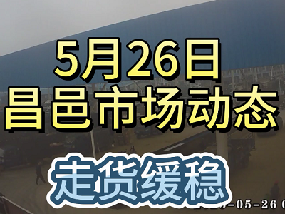 5月26日 昌邑生姜交易實況（走貨緩穩） (4055播放)