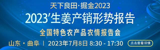 生姜報告會