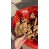 優(yōu)質(zhì)生姜18660989133