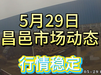 5月29日 昌邑生姜交易實況（行情穩定） (4048播放)