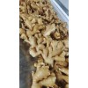優質生姜購銷18660989133