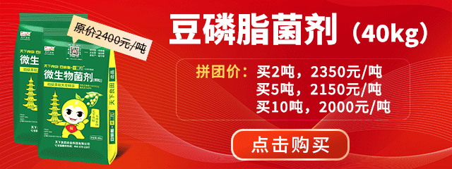 豆磷脂