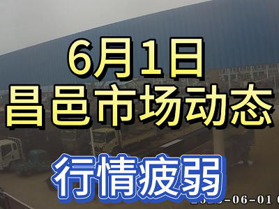 6月1日 昌邑生姜交易實況（行情疲弱） (4047播放)
