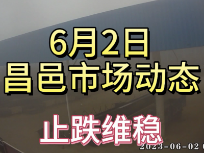 6月2日 昌邑生姜交易實況（止跌維穩） (4083播放)