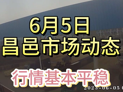 6月5日 昌邑生姜交易實況（行情平穩） (4096播放)