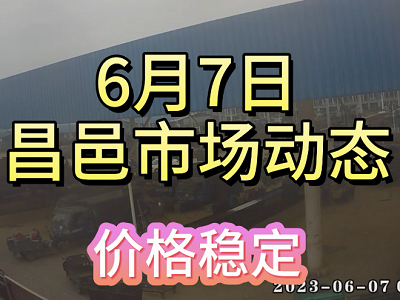 6月7日 昌邑生姜交易實(shí)況（價(jià)格穩(wěn)定） (4094播放)