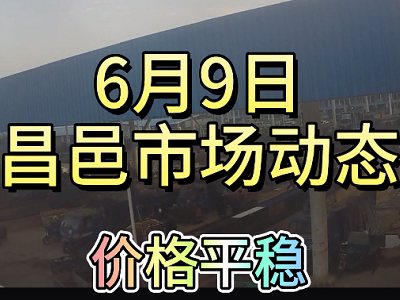 6月9日 昌邑生姜交易實(shí)況（價(jià)格平穩(wěn)） (4180播放)