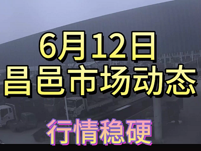 6月12日 昌邑生姜交易實況（行情穩硬） (4181播放)