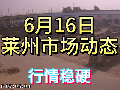 6月16日 萊州生姜交易實況（行情穩硬） (4146播放)