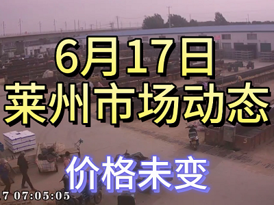 6月17日 萊州生姜交易實況（價格平穩） (4140播放)