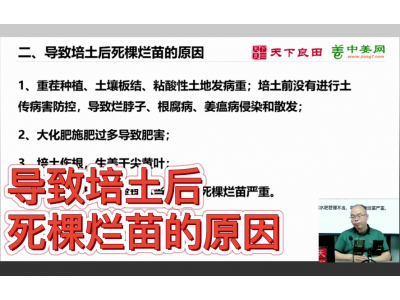 導致培土后死棵爛苗的原因？ ()