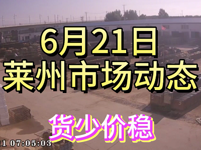 6月21日 萊州生姜交易實況（貨少價穩） (4412播放)