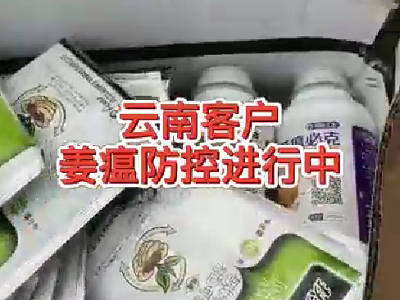 云南客戶姜瘟防控進(jìn)行中 (4103播放)