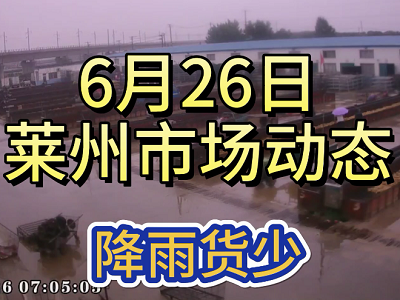 6月26日 萊州生姜交易實況（降雨貨少） (4199播放)