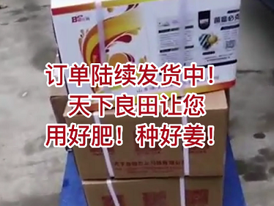 天下良田讓您用好肥！種好姜！ ()