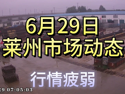 6月29日 萊州生姜交易實況（行情疲弱） (4210播放)
