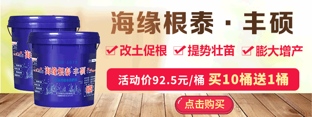 豐碩