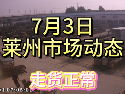 7月3日 萊州生姜交易實況（走貨正常） (4201播放)