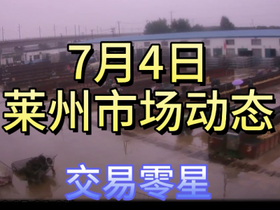 7月4日 萊州生姜交易實況（下雨 交易零星） (4213播放)