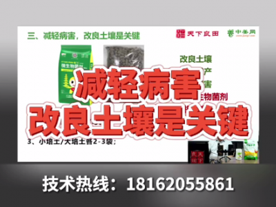 減輕病害改良土壤是關鍵 ()