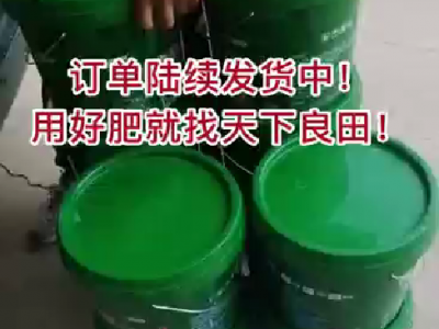 訂單陸續(xù)發(fā)貨中... ()
