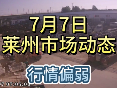 7月7日 萊州生姜交易實況（行情偏弱） (4275播放)
