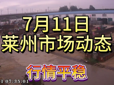 7月11日 萊州生姜交易實況（行情平穩） (4251播放)