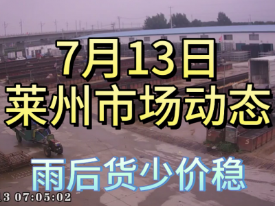 7月13日 萊州生姜交易實況（雨后貨少） (4259播放)
