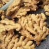 常年出售優質生姜