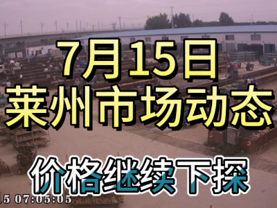 7月15日 萊州生姜交易實況（繼續下探） (4280播放)