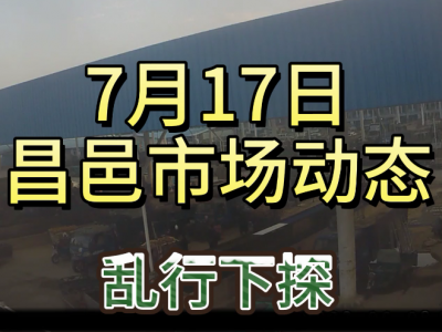 7月17日 昌邑生姜交易實況（亂行下探） (4131播放)