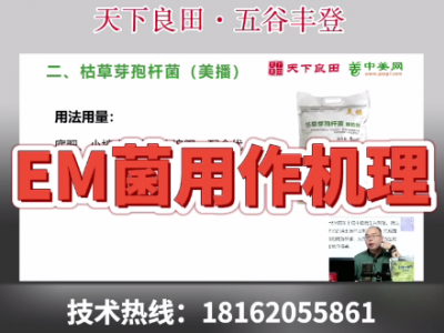 EM菌的作用機理 ()