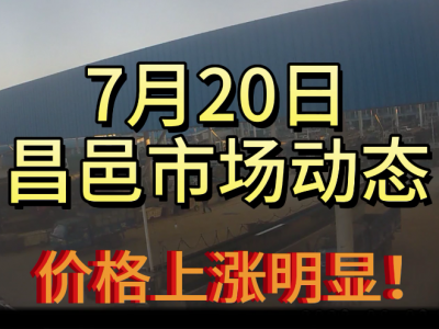 7月20日 昌邑生姜交易實況（漲價明顯） (4214播放)