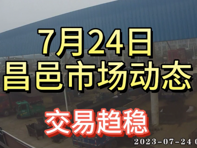 7月24日 昌邑生姜交易實況（交易趨穩） (4186播放)