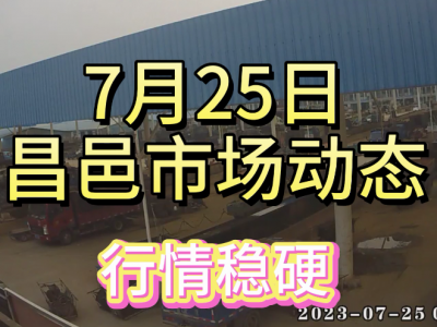 7月25日 昌邑生姜交易實況（行情穩硬） (4253播放)