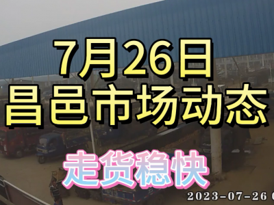 7月26日 昌邑生姜交易實況（走貨穩快） (4187播放)