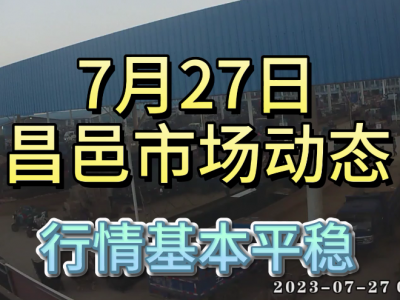 7月27日 昌邑生姜交易實況（行情平穩） (4236播放)
